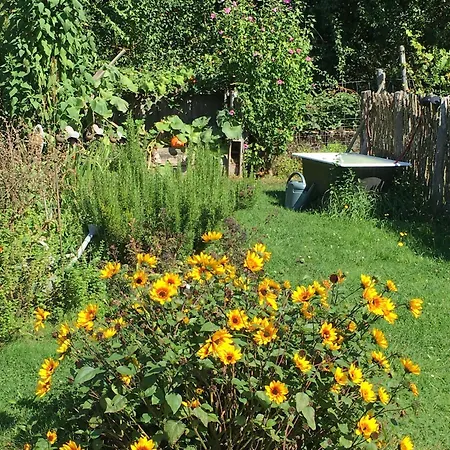 Le Jardin De Rosalie *